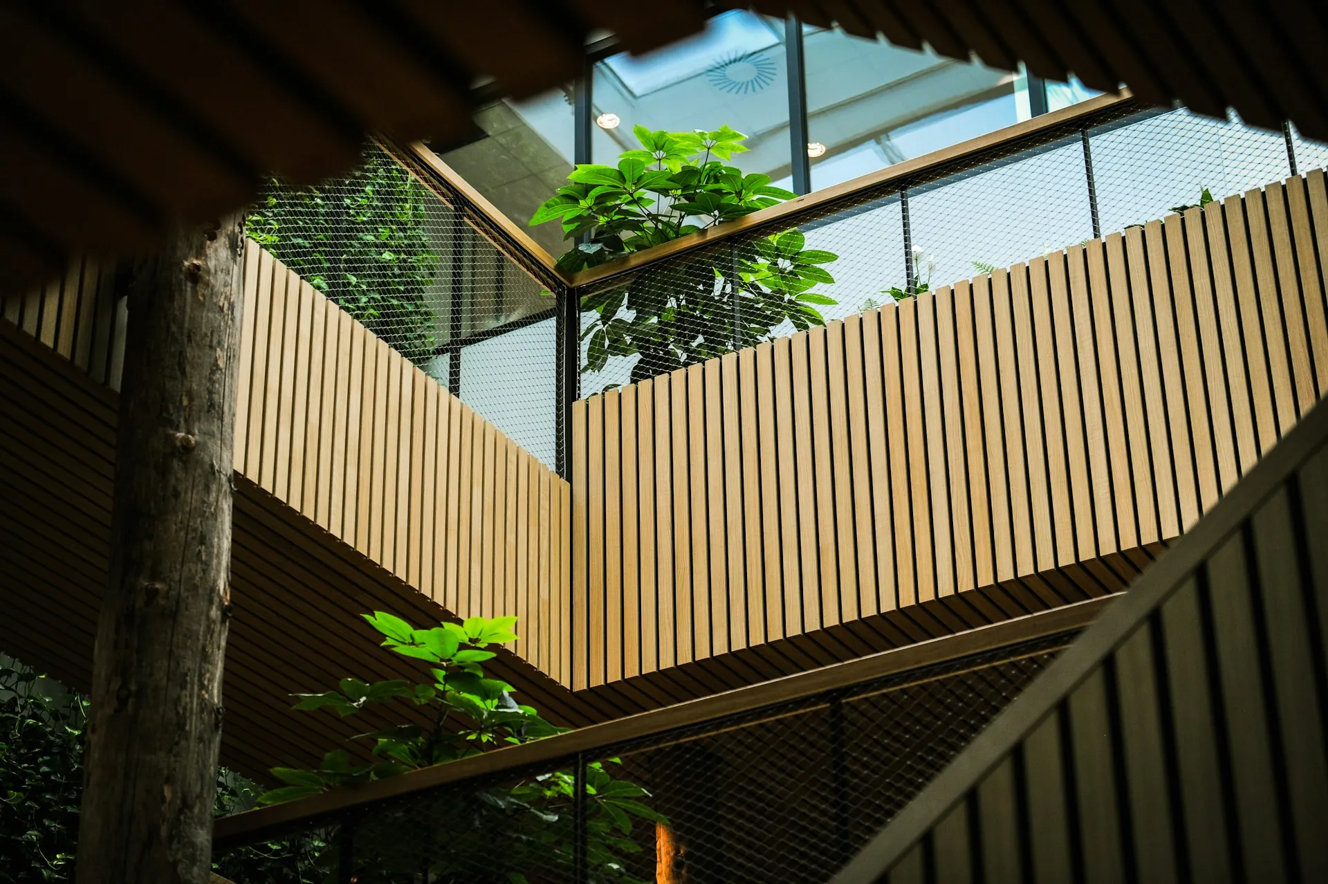 wood city