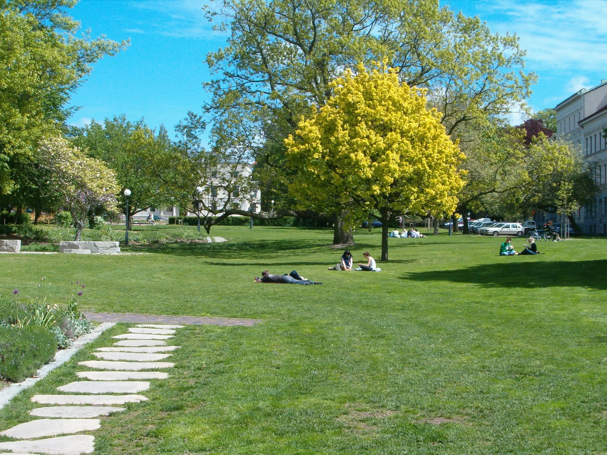 Bild av Jesper Olsson