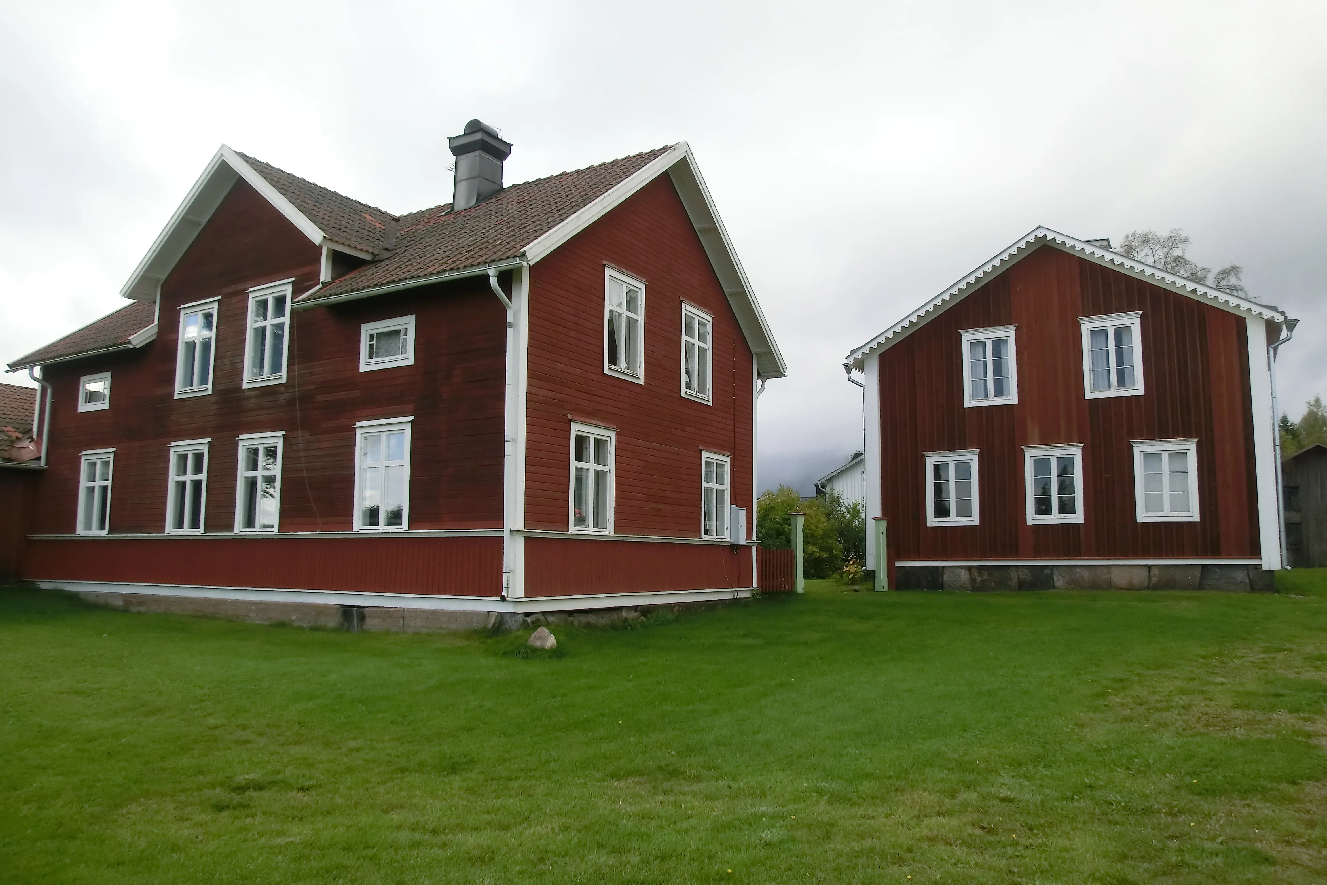 Bild av Y-näsmannen