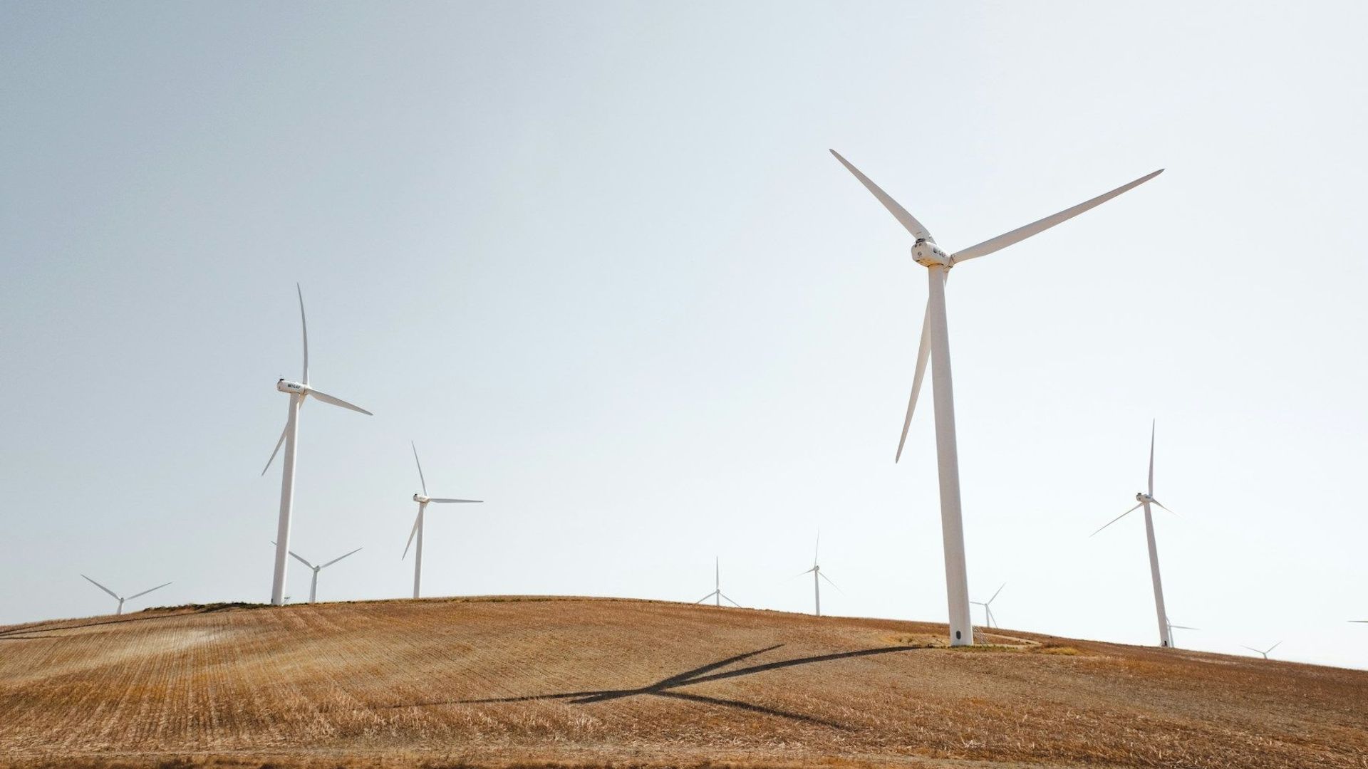 Vindkraft är en populär förnybar energikälla i Sverige.